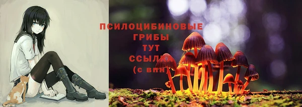 соль курить ск Каменка