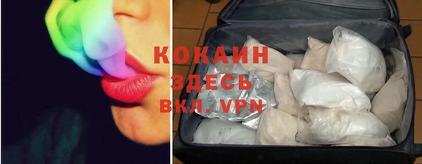 соль курить ск Каменка
