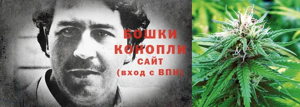 соль курить ск Каменка