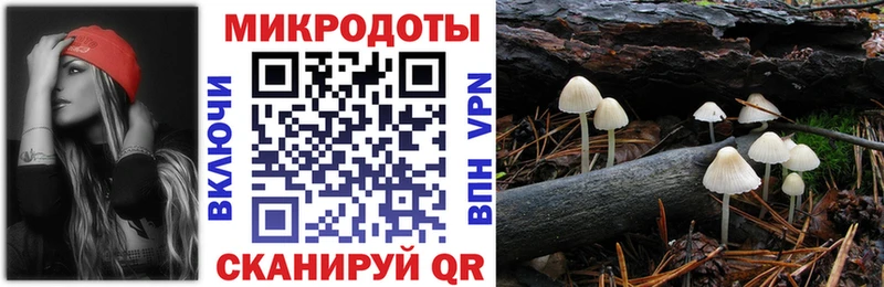 Псилоцибиновые грибы Psilocybe Сретенск